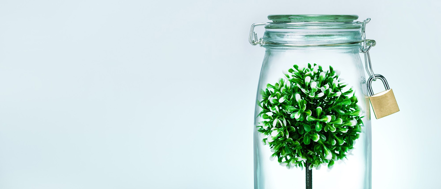 Placeholder cover image voor CISO gids voor AI